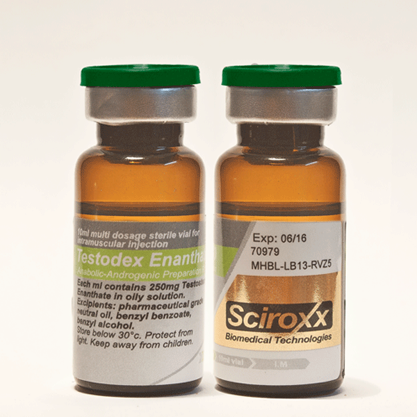 testodex enanthate for sale