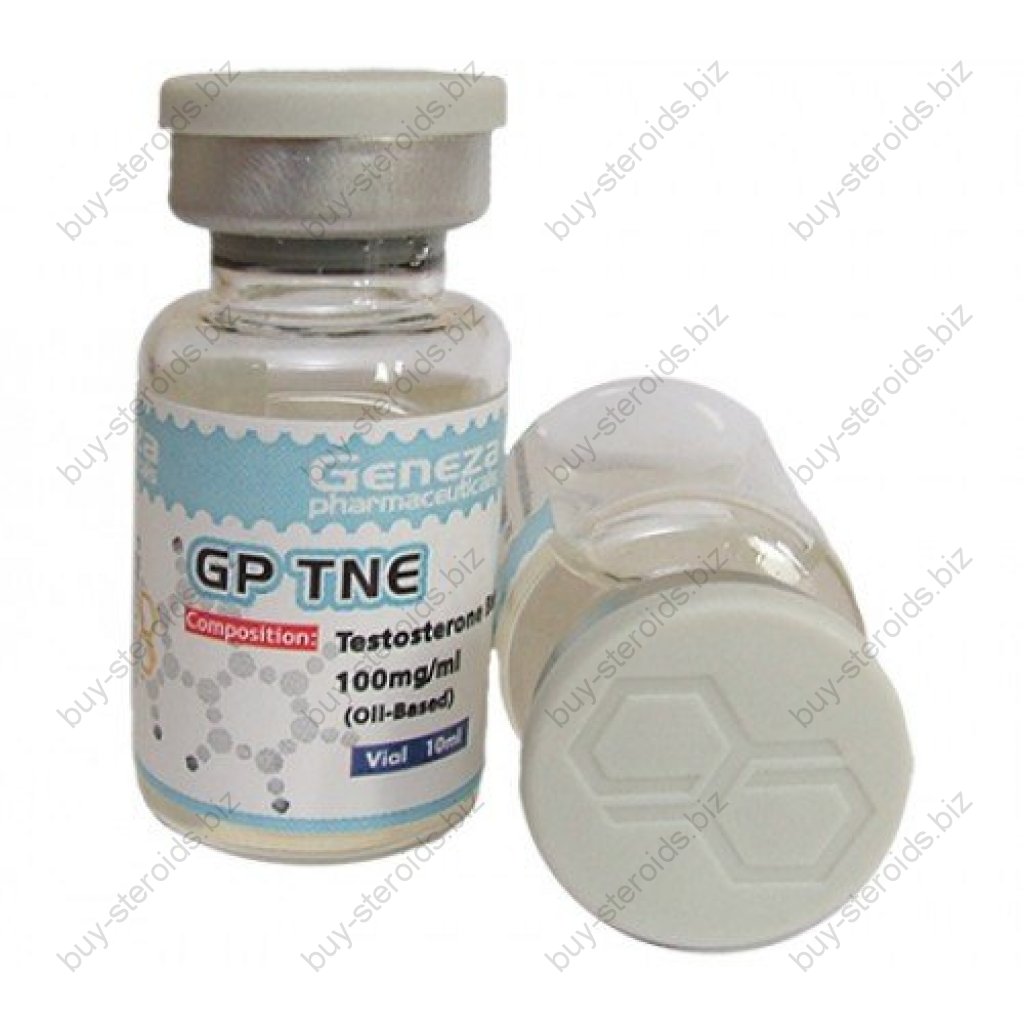 GP TNE GP TNE