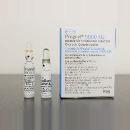 Pregnyl HCG