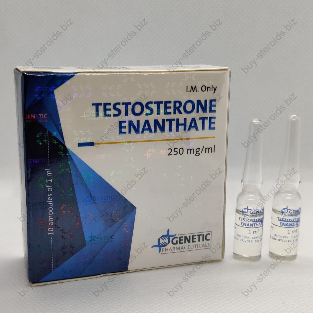 Testosterone Enanthate Testosterone Enanthate