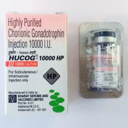 Buy HUCOG INJ 10000iu from Legit Supplier