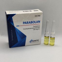 [Parabolan - Discount Price]