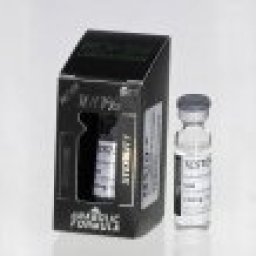 Gen-Shi Laboratories Testo-P 500 Testo-P 500